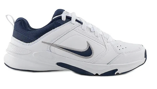 Кросівки Nike DEFYALLDAY