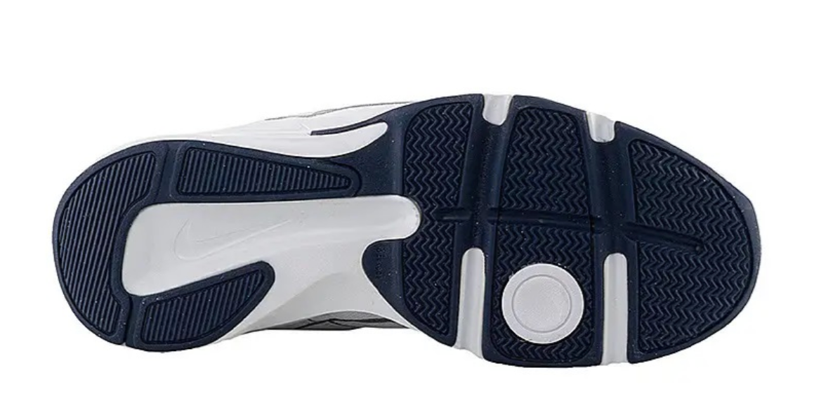 Кросівки Nike DEFYALLDAY